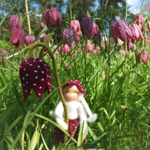 Kievitsbloem PDF patroon Nederlands