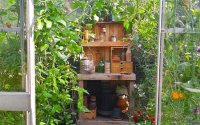 De tuinkas en volgende week nieuwe pakketten