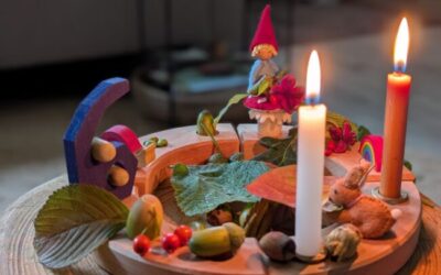 Paddenstoel steker en een leuke middag