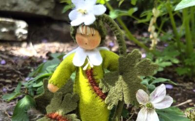 Bloemenkind Bosanemoontje