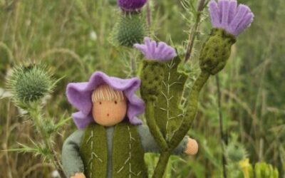 Bloemenkind distel